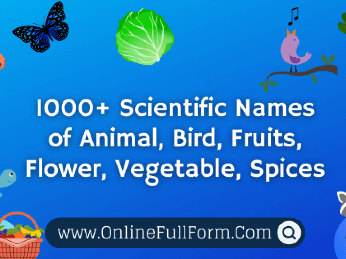 All Scientific Names Of Animal, Bird, Fruits, Flower, Vegetable, Spices  List • Online Full Form