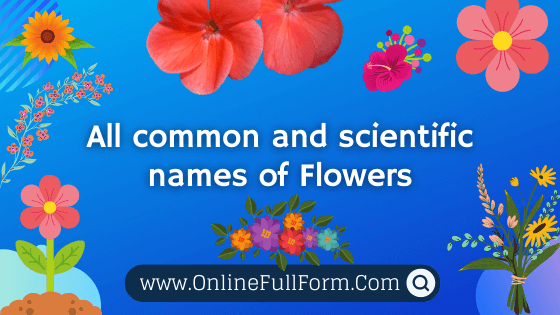 Botanic names of flowers, Scientific Names of flowers